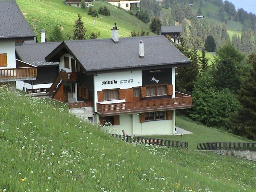 Haus-aristella